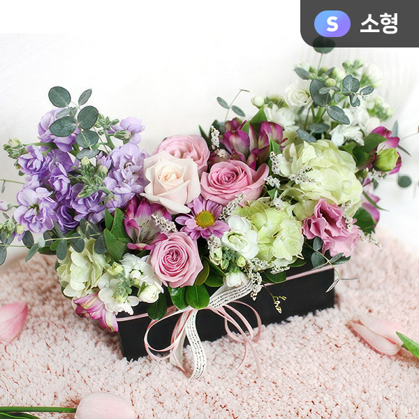 �츮Ƽ��(����)