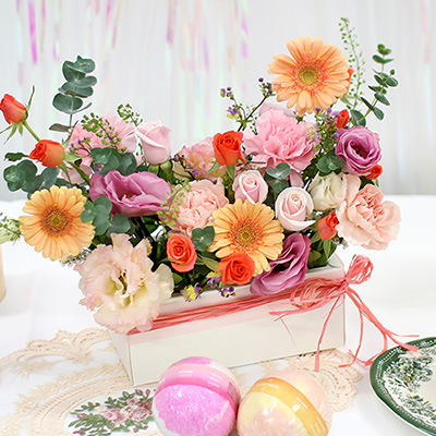 �ñ׳� + �農��SET(����)